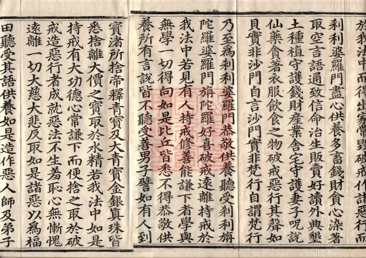 佛说大方广十轮经八卷 Page 3