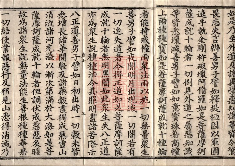 佛说大方广十轮经八卷 Page 5