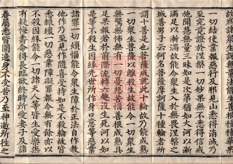 佛说大方广十轮经八卷 Page 6