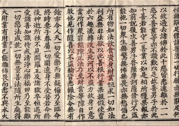 佛说大方广十轮经八卷 Page 8