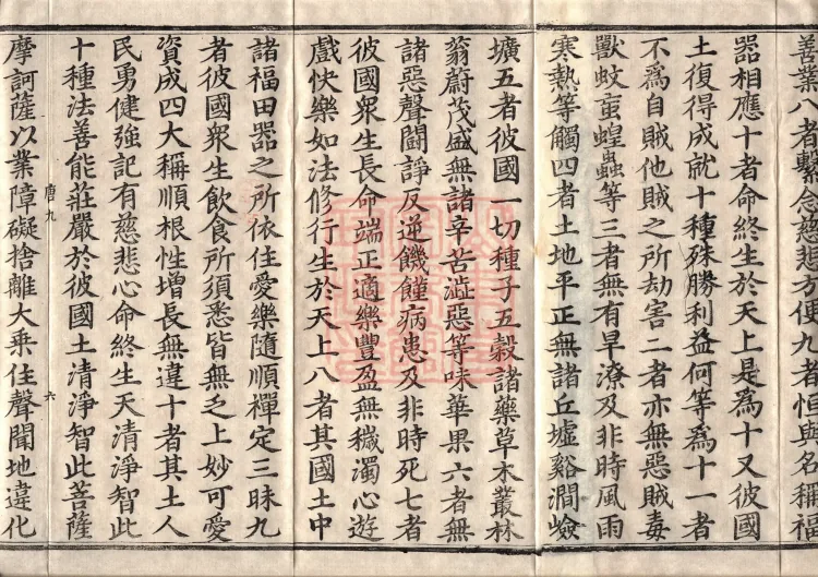 大集须弥藏经二卷 Page 10