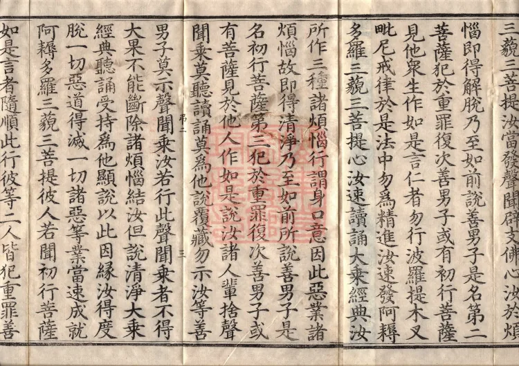 虚空孕菩萨经二卷 Page 5