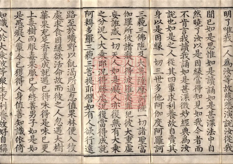 虚空孕菩萨经二卷 Page 8