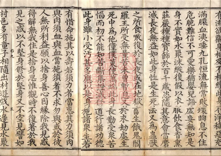 Buddha's Discourse on the Bodhisattva's Samadhi of Recollecting the Buddha — six volumes Page 8