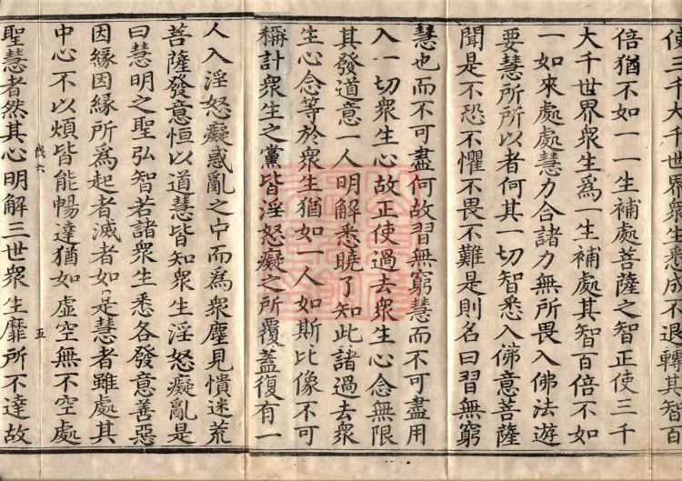 Acha-mata Bodhisattva Sutra — seven volumes Page 8