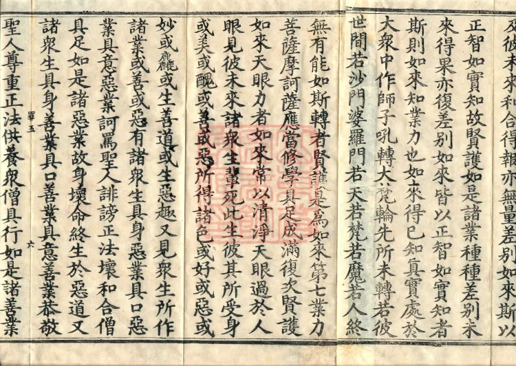 Great Equal Great Collection: Sutra of the Worthy Protector — five volumes Page 10