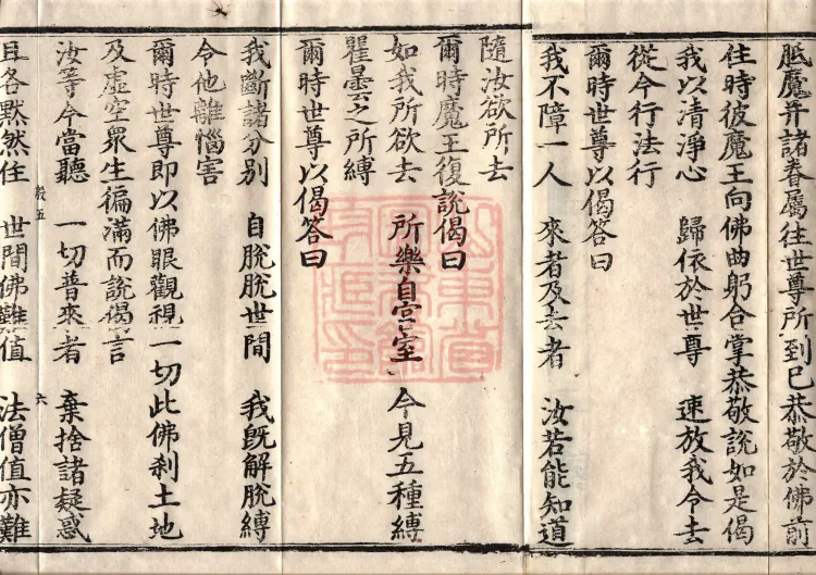 Precious Star Dharani Sutra, Eight Volumes Page 10