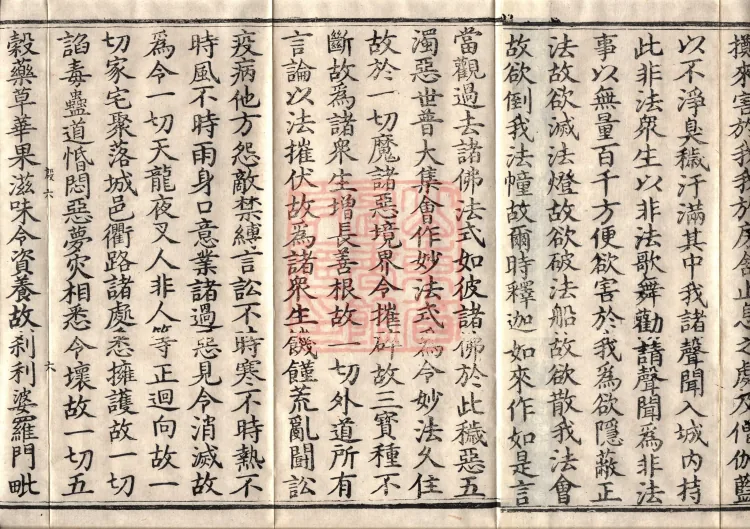 Precious Star Dharani Sutra, Eight Volumes Page 10