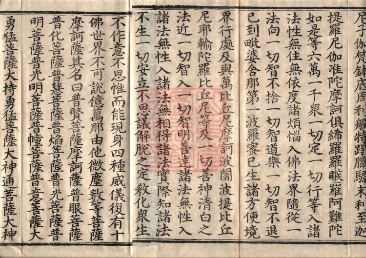 The Sutra on the Wisdom-Light that Adorns the Realms of All Buddhas, One Volume Page 3