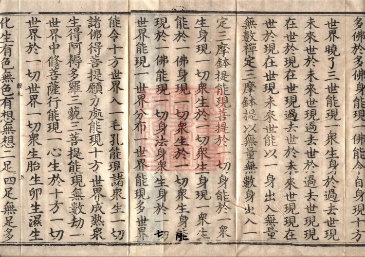 The Sutra on the Wisdom-Light that Adorns the Realms of All Buddhas, One Volume Page 8