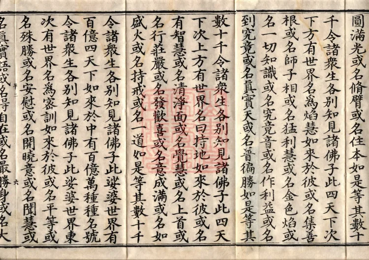 Avataṃsaka Sūtra (Eighty Volumes) Page 10