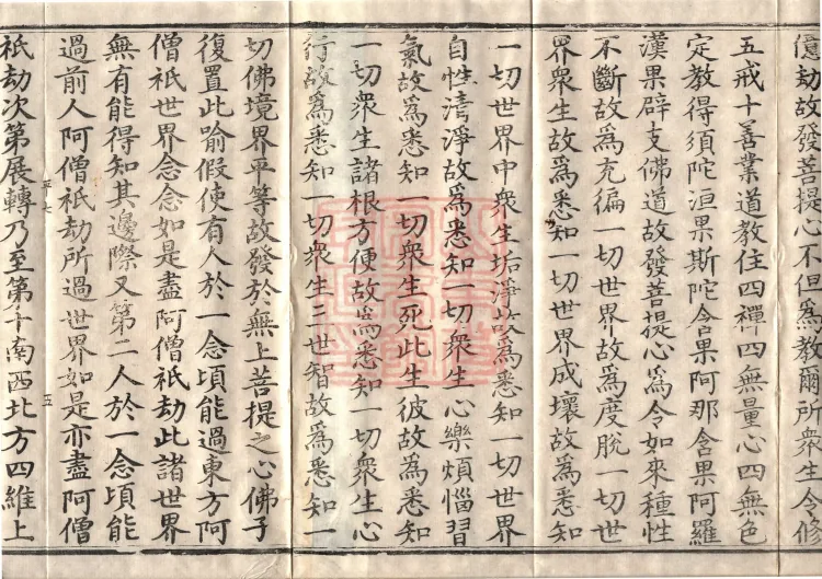 Avataṃsaka Sūtra (Eighty Volumes) Page 8
