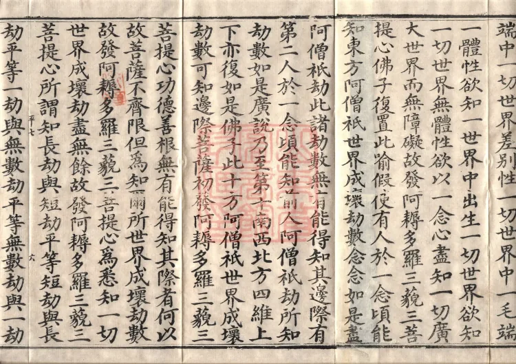 Avataṃsaka Sūtra (Eighty Volumes) Page 10
