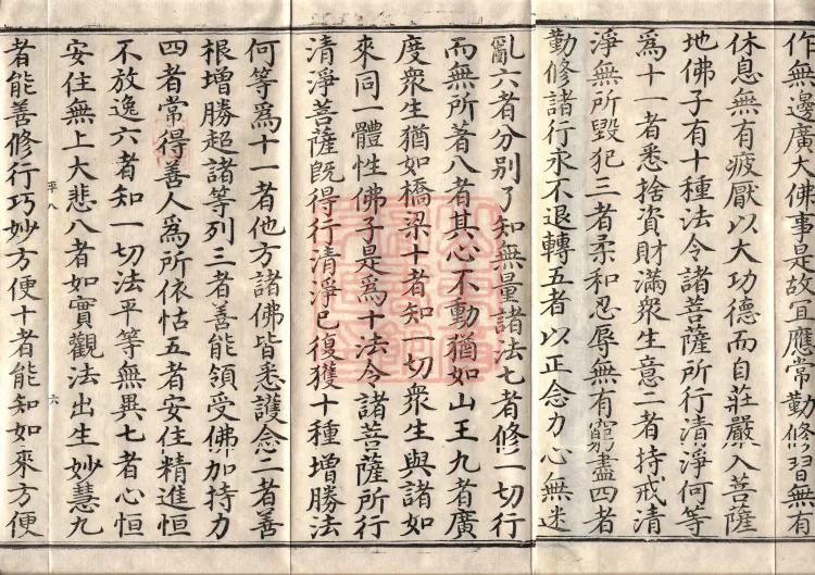Avataṃsaka Sūtra (Eighty Volumes) Page 10
