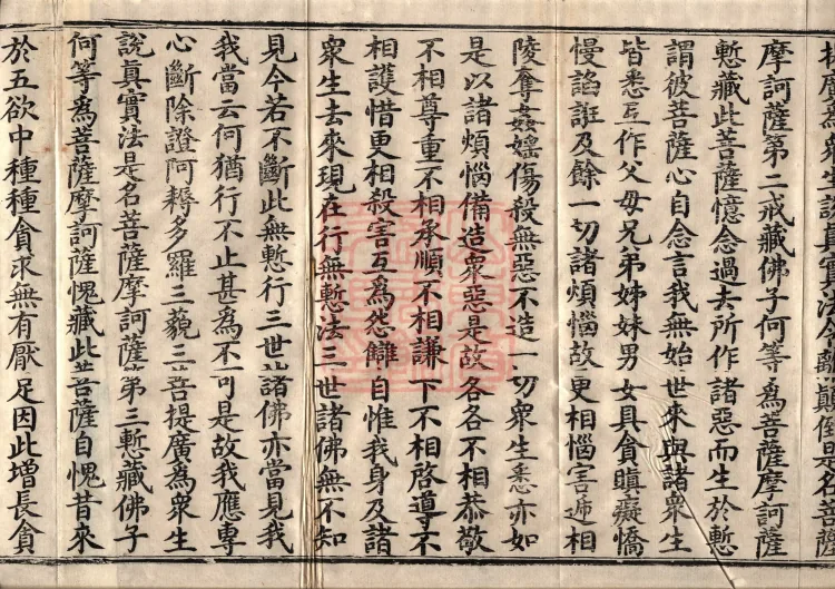 Avataṃsaka Sūtra (Eighty Volumes) Page 8