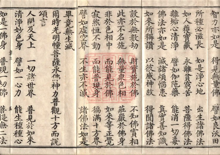Avataṃsaka Sūtra (Eighty Volumes) Page 8