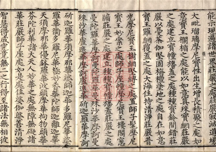 Sutra on the Dharma-Gate of Entering the Seal by the Power of Faith, Five Volumes Page 5