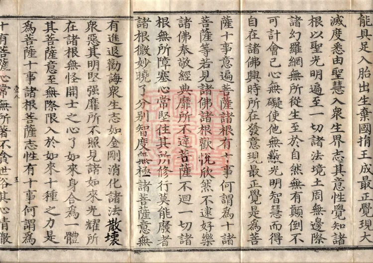 Sūtra of the Chapter on Delivering the World, Six Volumes Page 8
