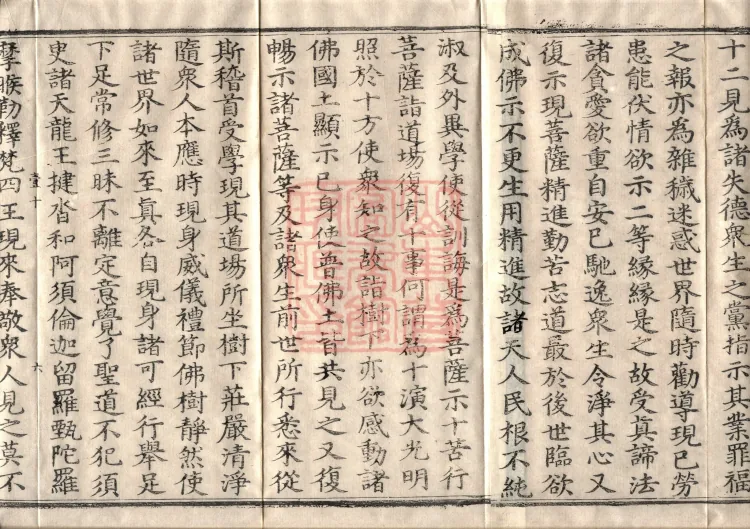 Sūtra of the Chapter on Delivering the World, Six Volumes Page 10