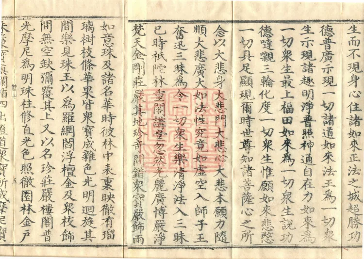 The Buddha’s Discourse on the Romaka (Lomaga) (four fascicles) Page 8