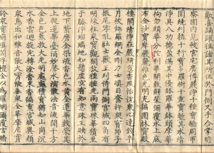 The Buddha’s Discourse on the Romaka (Lomaga) (four fascicles) Page 4