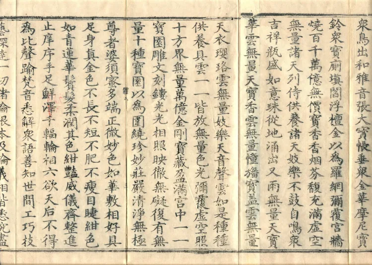 The Buddha’s Discourse on the Romaka (Lomaga) (four fascicles) Page 5