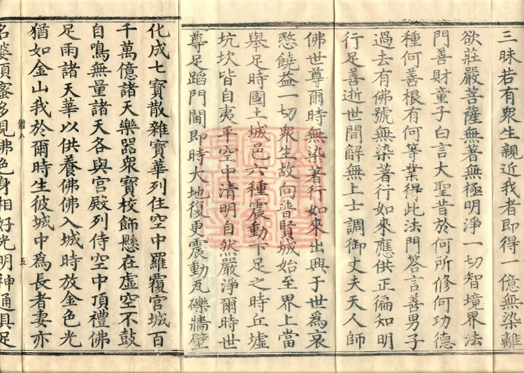 The Buddha’s Discourse on the Romaka (Lomaga) (four fascicles) Page 8
