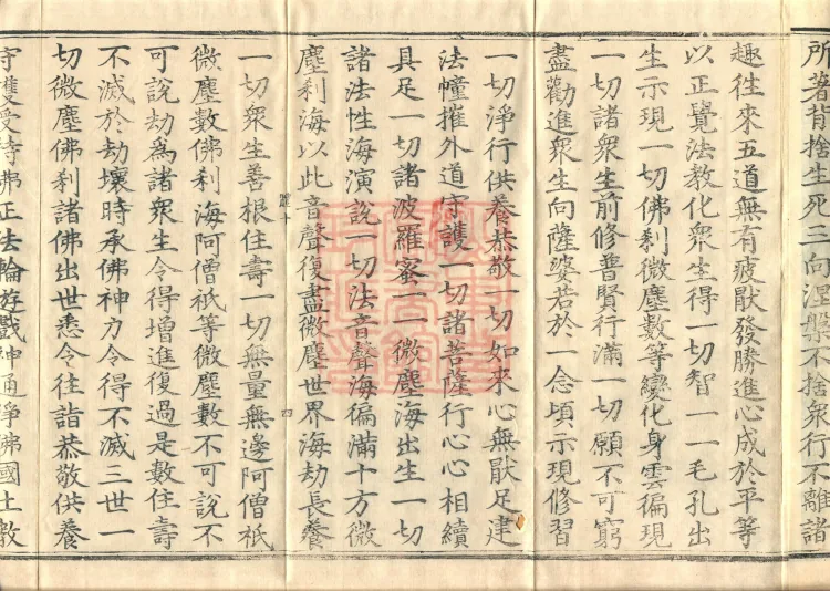 The Buddha’s Discourse on the Romaka (Lomaga) (four fascicles) Page 8