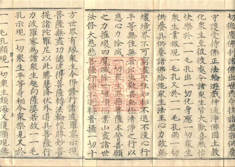 The Buddha’s Discourse on the Romaka (Lomaga) (four fascicles) Page 9