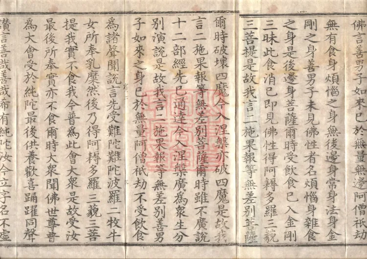 Mahaparinirvana Sūtra (Forty Rolls) Page 5