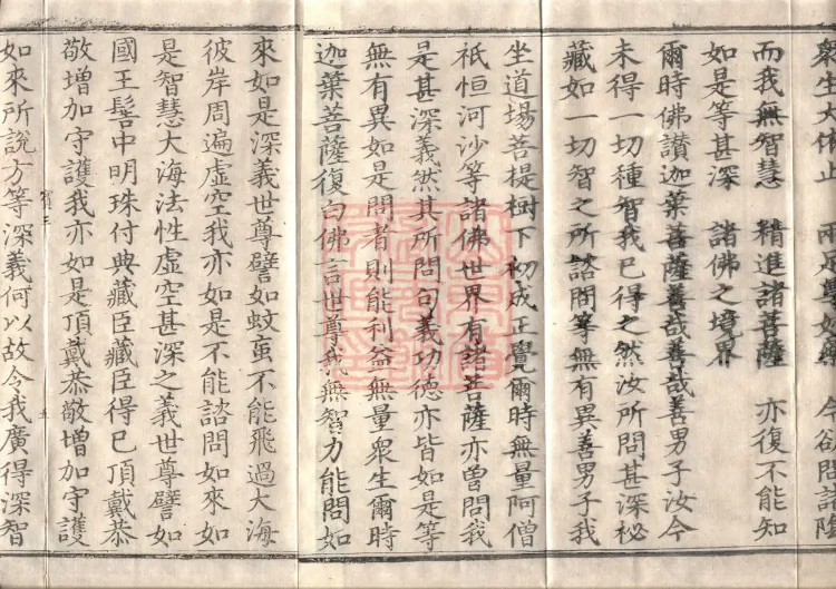 Mahaparinirvana Sūtra (Forty Rolls) Page 8