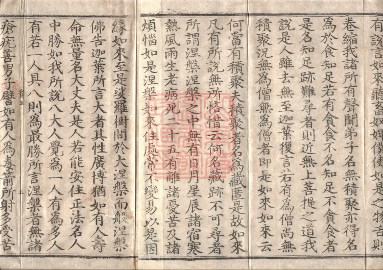 Mahaparinirvana Sūtra (Forty Rolls) Page 8