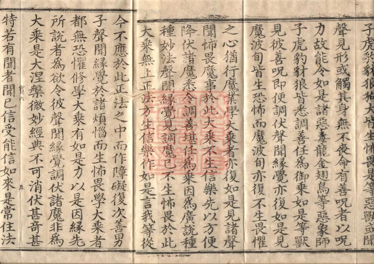 Mahaparinirvana Sūtra (Forty Rolls) Page 8