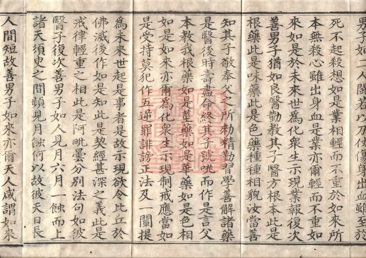 Mahaparinirvana Sūtra (Forty Rolls) Page 6