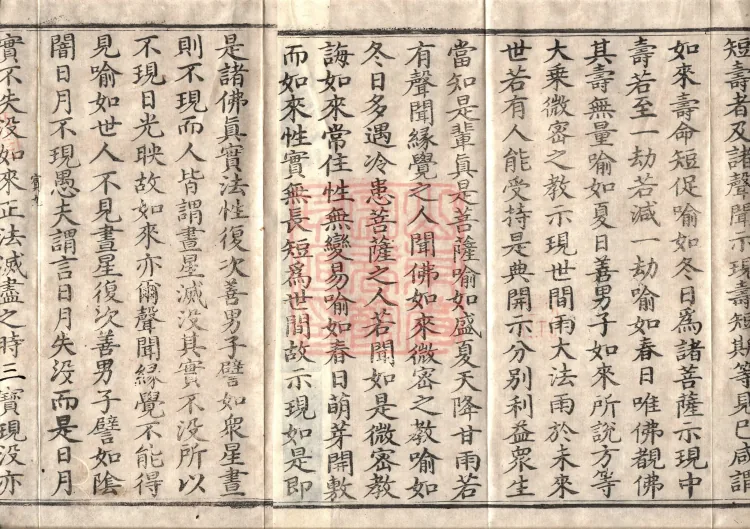 Mahaparinirvana Sūtra (Forty Rolls) Page 8
