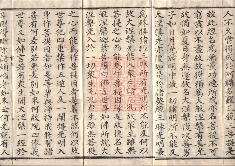 Mahaparinirvana Sūtra (Forty Rolls) Page 10