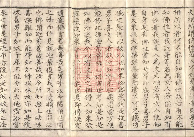 Mahaparinirvana Sūtra (Forty Rolls) Page 8