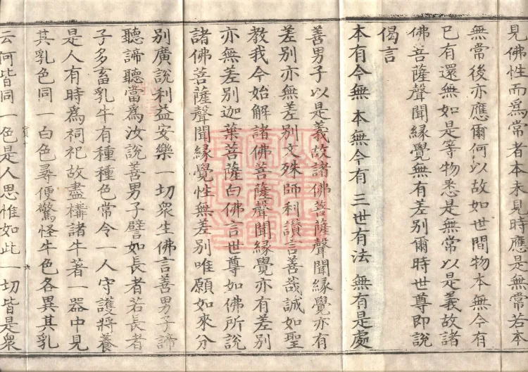 Mahaparinirvana Sūtra (Forty Rolls) Page 10