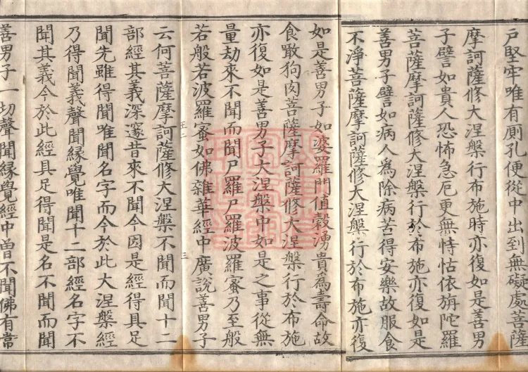 Mahaparinirvana Sūtra (Forty Rolls) Page 5