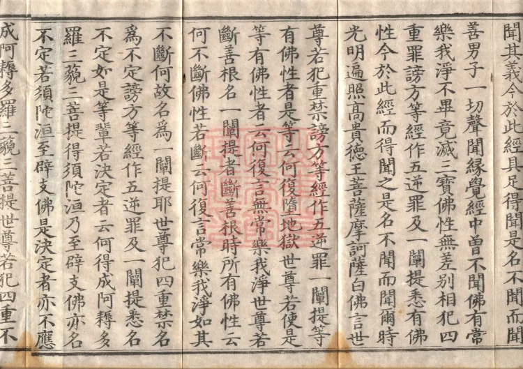 Mahaparinirvana Sūtra (Forty Rolls) Page 6