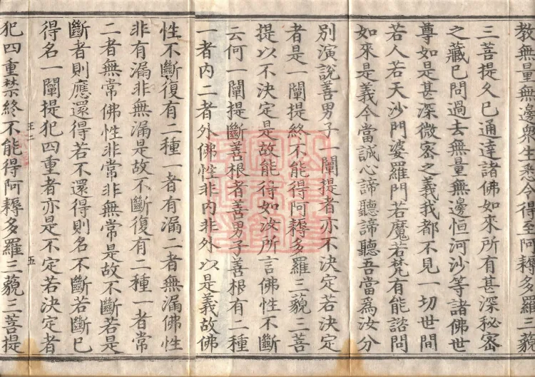 Mahaparinirvana Sūtra (Forty Rolls) Page 8