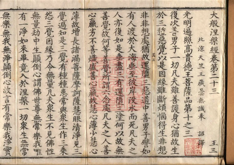 Mahaparinirvana Sūtra (Forty Rolls) Page 2