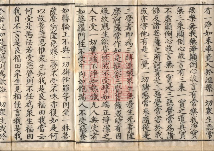 Mahaparinirvana Sūtra (Forty Rolls) Page 3