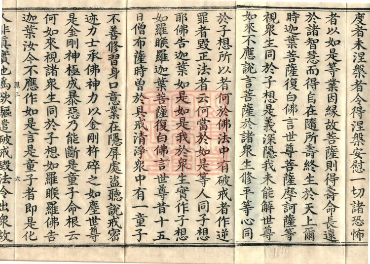 Southern Edition Mahaparinirvana Sūtra (Thirty-six Rolls) Page 10