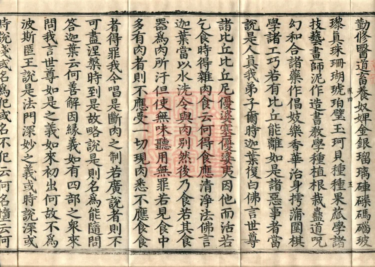 Southern Edition Mahaparinirvana Sūtra (Thirty-six Rolls) Page 9