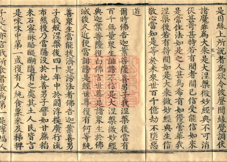 Southern Edition Mahaparinirvana Sūtra (Thirty-six Rolls) Page 9