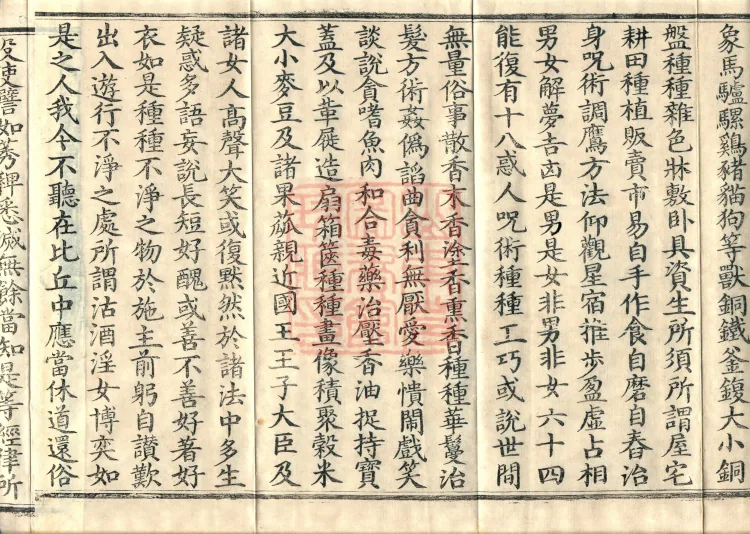 Southern Edition Mahaparinirvana Sūtra (Thirty-six Rolls) Page 6