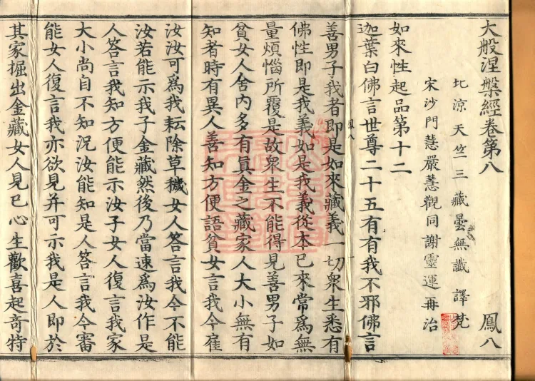 Southern Edition Mahaparinirvana Sūtra (Thirty-six Rolls) Page 2