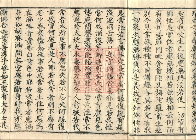 Southern Edition Mahaparinirvana Sūtra (Thirty-six Rolls) Page 5