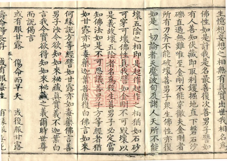 Southern Edition Mahaparinirvana Sūtra (Thirty-six Rolls) Page 10